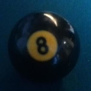 Meet your Posher, Leo